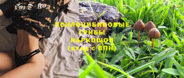амф Воткинск