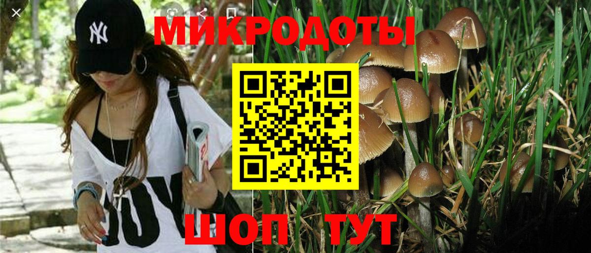 Псилоцибиновые грибы ЛСД Елец