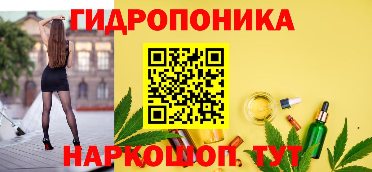 Бошки Шишки SATIVA & INDICA  Канабис VHQ  Вход с VPN  Елец 